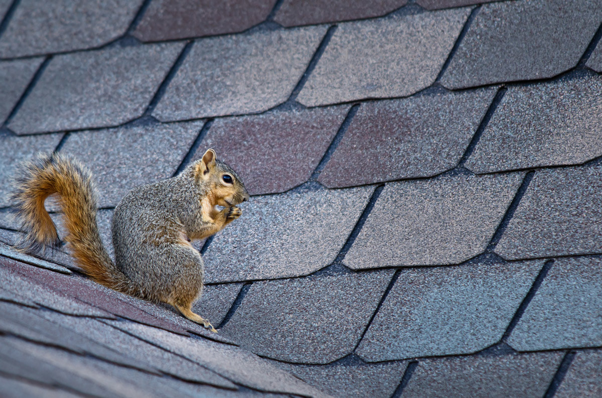 7-factors-affecting-the-lifespan-of-your-roof_orig