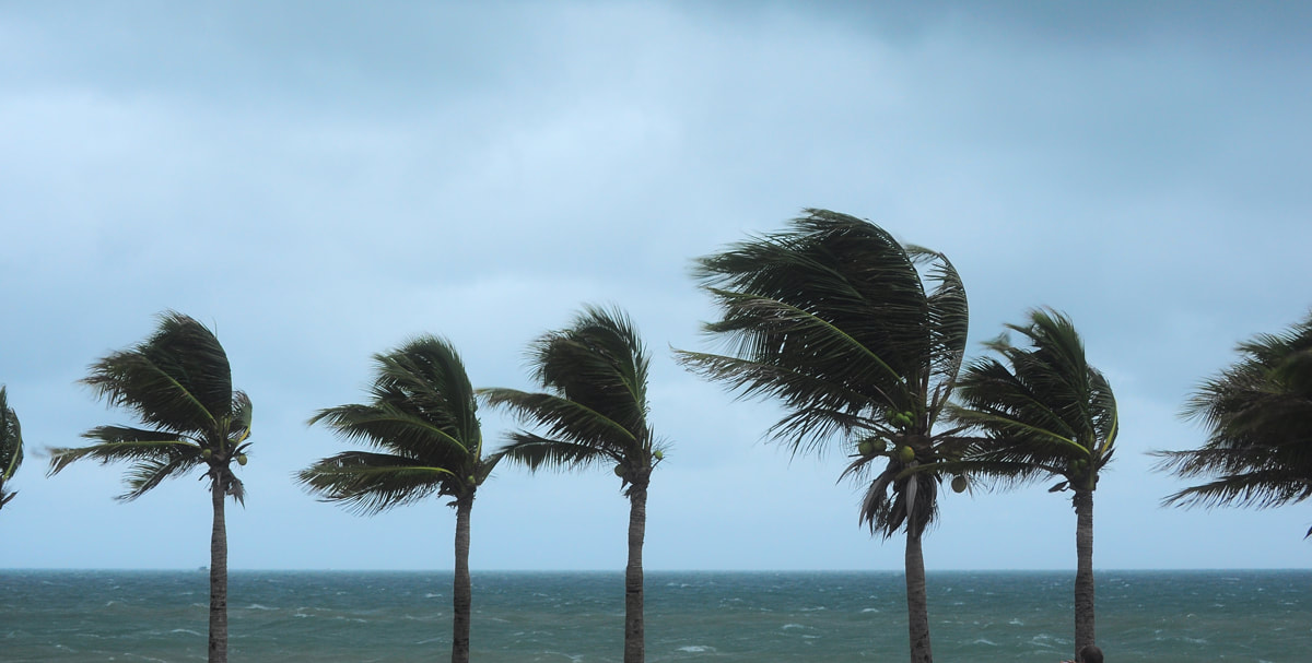 4-ways-high-winds-can-damage-your-roofing_orig