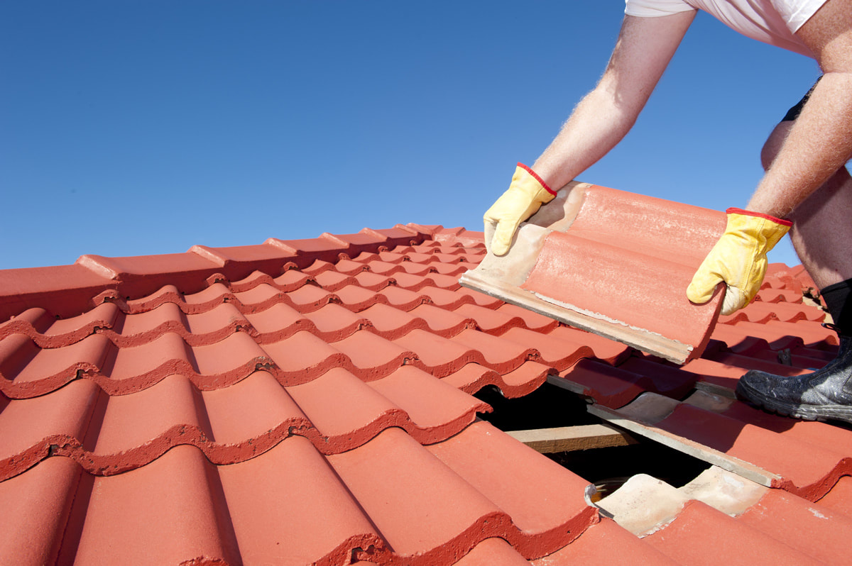 Roof Inspection