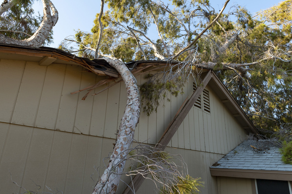 proactively-protecting-your-home-against-storm-damage