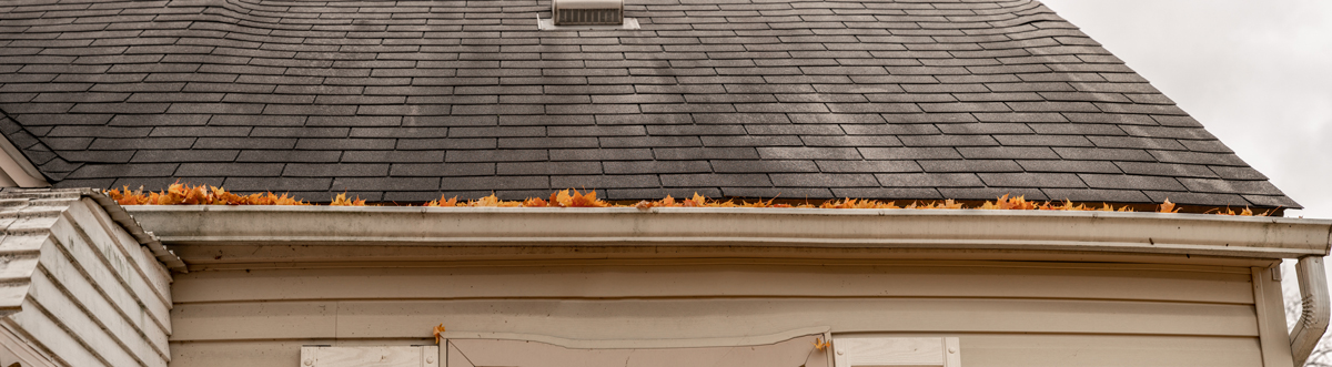 7-new-years-resolutions-for-your-roof